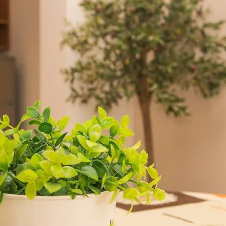 Elite Aparthotel Sunny Beach