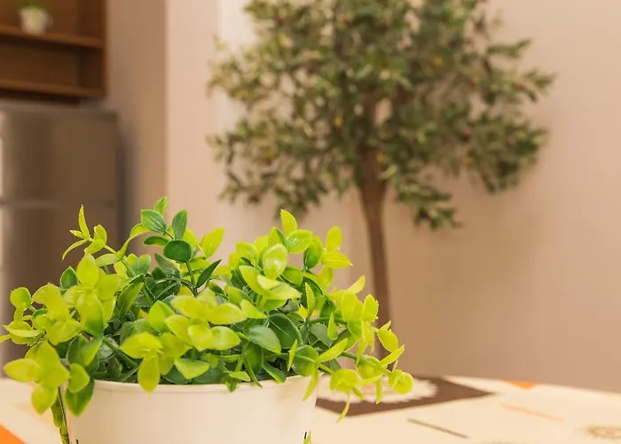 елит Апартхотел Слънчев бряг